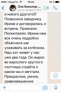 Котик Жофрей - отзыв продолжение