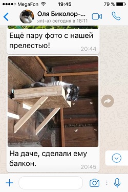 Жофрей сосбственной персоной