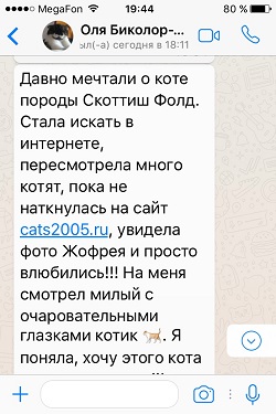 Вислоухий котик Жофрей, черный мраморный дымный биколор - отзыв