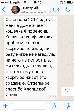 Отзыв о шоколадной мраморной вислоухой кошечке - домашнее имя Маня
