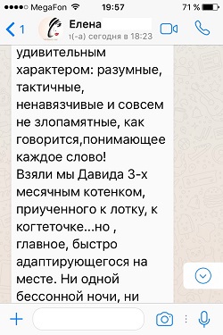 Продолжение отзыва о Давиде