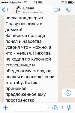 Продолжение отзыва о Давиде