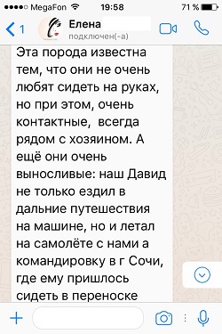 Продолжение отзыва о Давиде