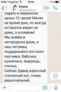 Продолжение отзыва о Давиде