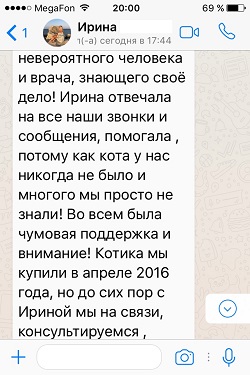 Продолжение отзыва
