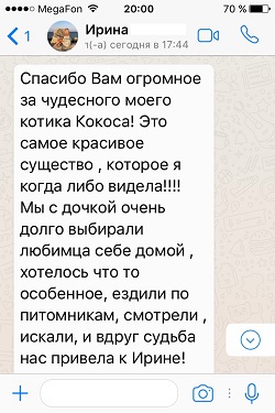 Отзыв о котик страйте - шоколадный мрамор на серебре