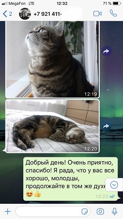 Габриелла - продолжение отзыва