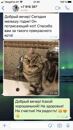 Родной братишка Юджина