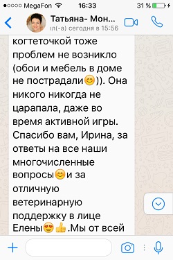 Продолжение отзыва