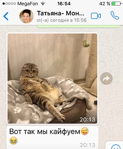 Продолжение отзыва