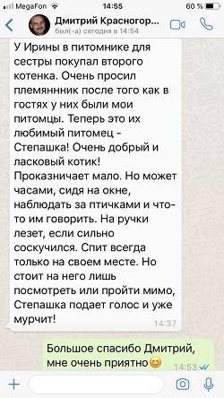 Второй отзыв Дмитрия о приобретении в моем питомнике второго котенка