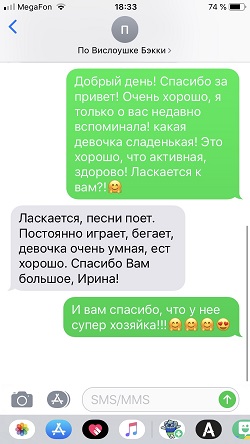 Благодарное смс от Марины, которая приобрела в моем питомнике вислоухую кошечку Бэкки, шоколадная мраморная черепашка на серебре