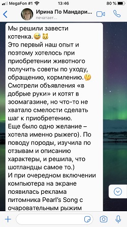 Шотландский котик страйт Мандарин, красный мраморный - отзыв
