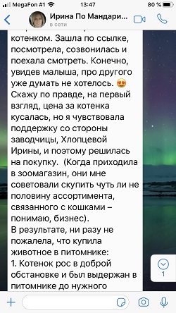 Про Мандарина - отзыв продолжение