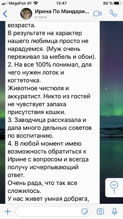 Мандарин - продолжение