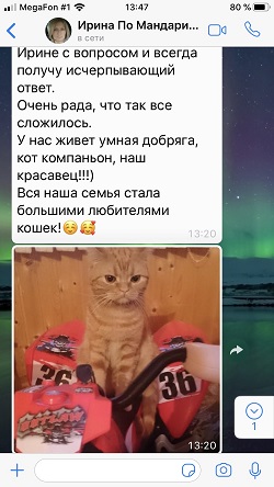 Мандарин - продолжение