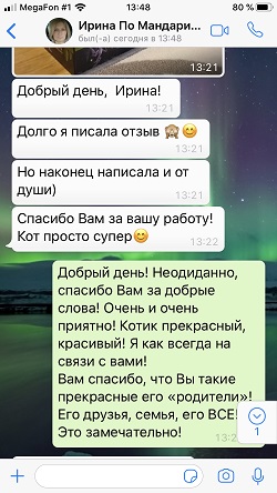 Мандарин - продолжение