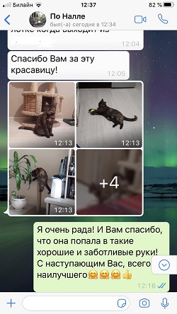 Про Наллу