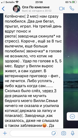 Отзыв продолжение