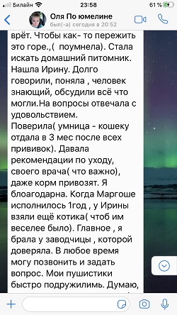 Отзыв продолжение