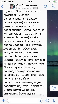 Отзыв продолжение