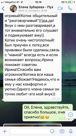 Про Мультика - отзыв продолжение